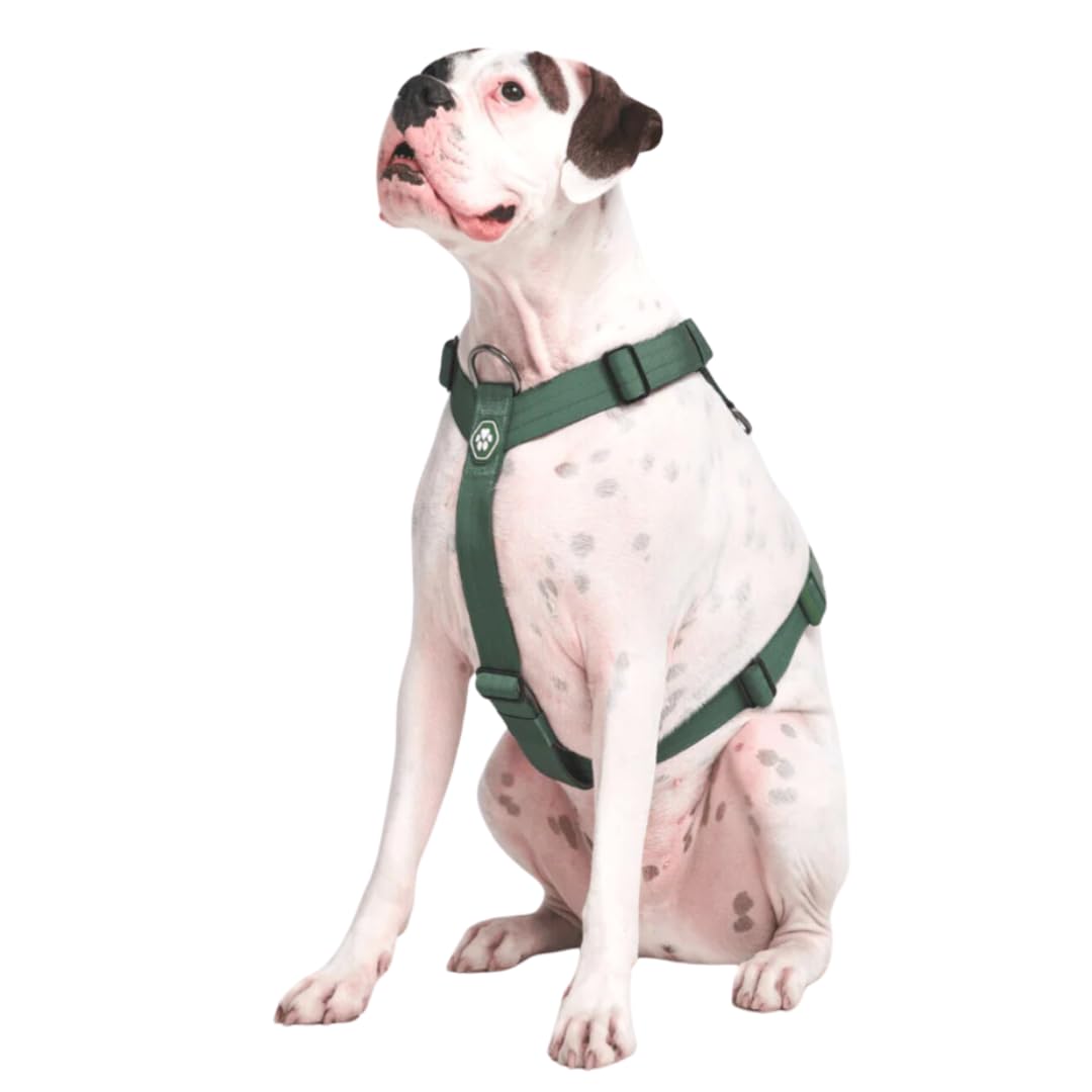 Spark Paws harnais chien grande taille clip avant rembourré pour un contrôle sans traction