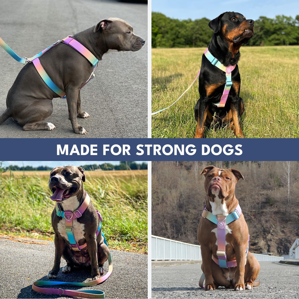 Spark Paws coloris pastel glaçé pour un style discret