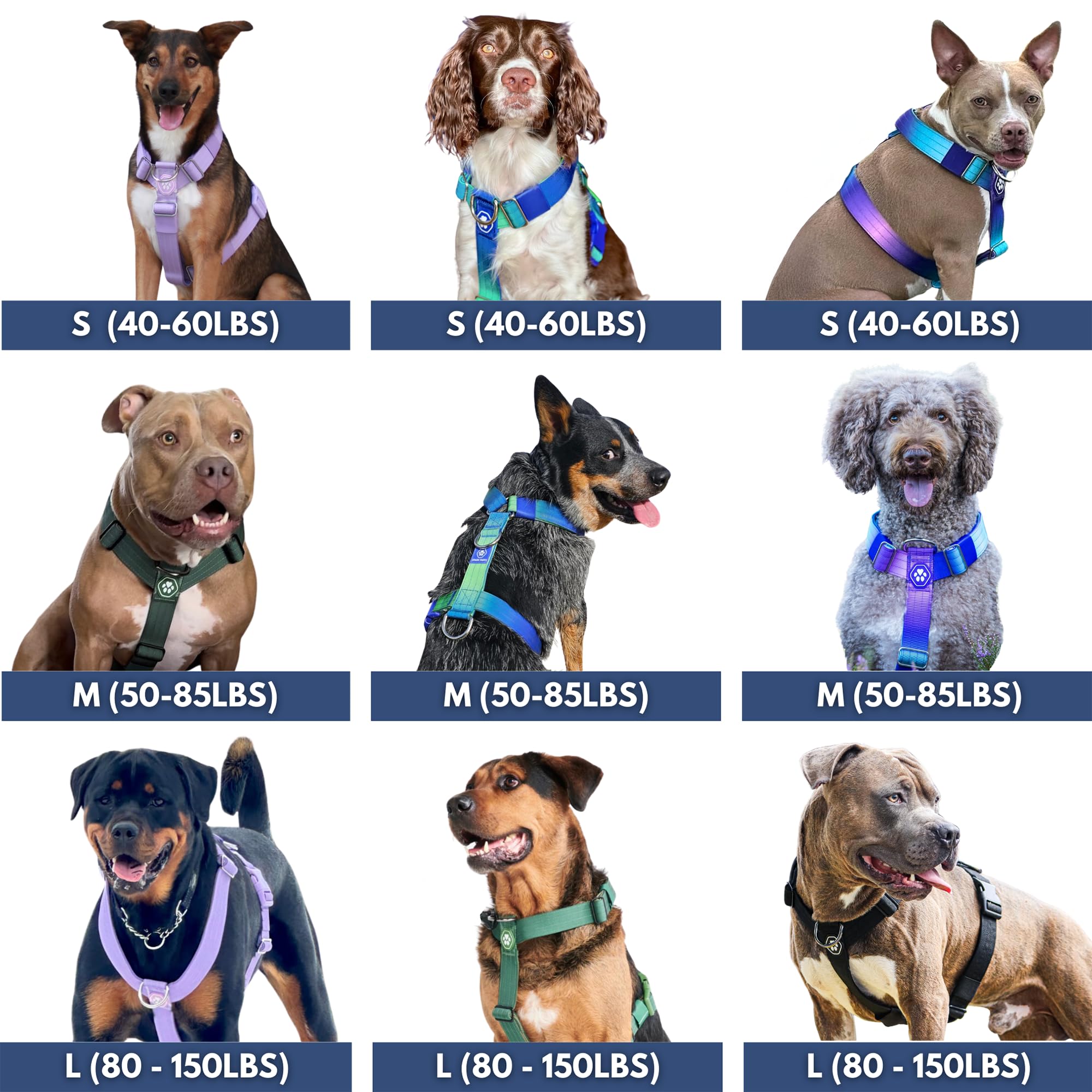 Spark Paws ensemble harnais, collier et laisse tactique pour un look cohérent