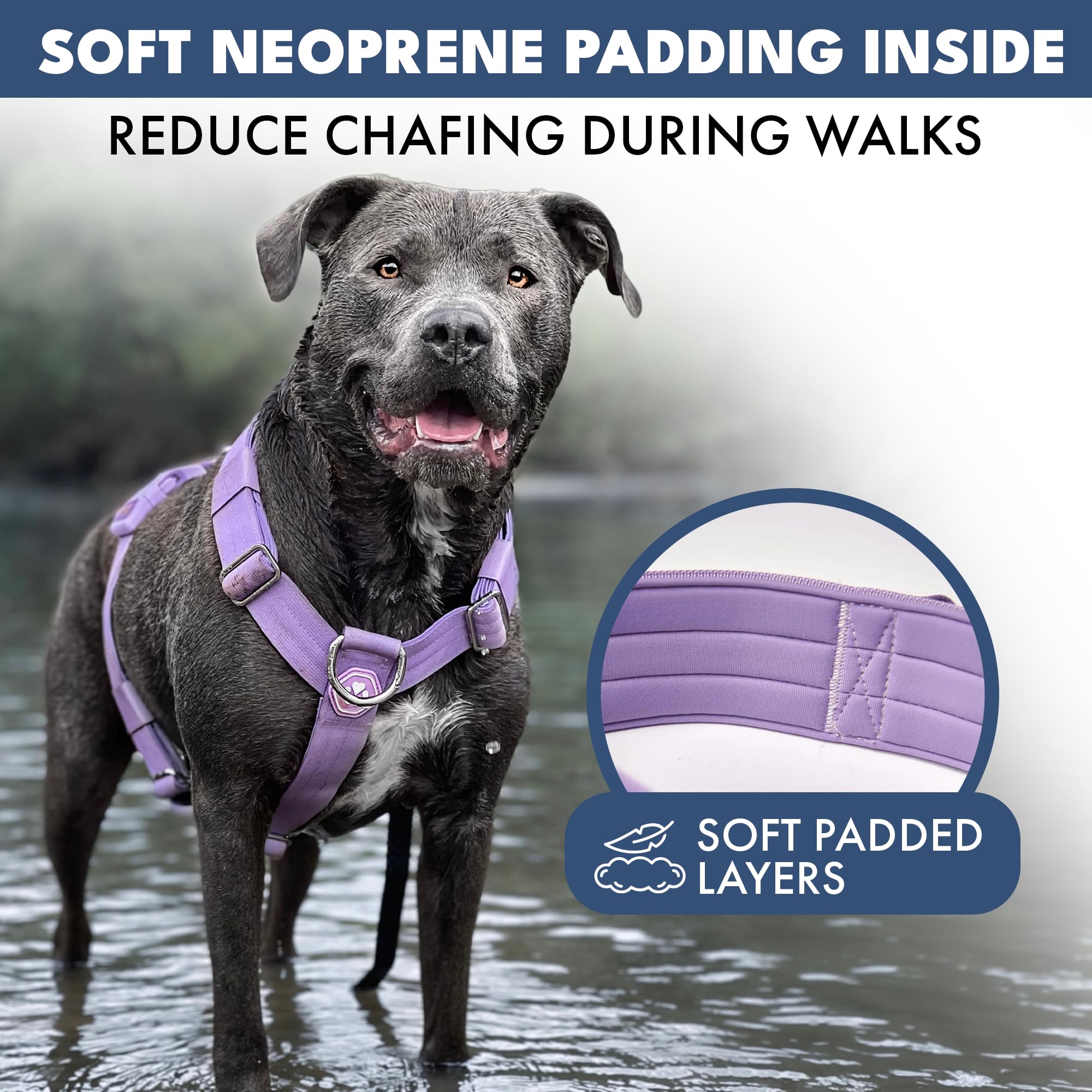 Harnais Spark Paws à couture triple et sécurité renforcée pour les promenades.