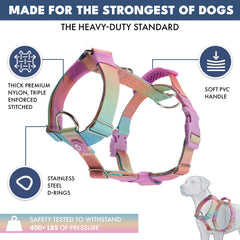Spark Paws harnais coutures triple renforcées pour durabilité lors des balades