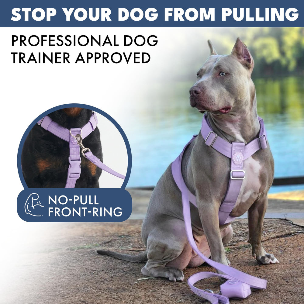 Harnais en néoprène doux Spark Paws pour plus de confort pendant les sorties.