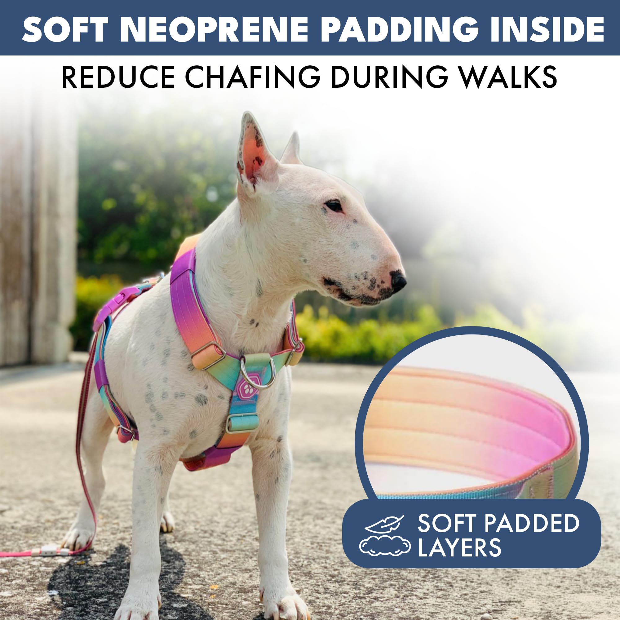 Spark Paws harnais réglable assure un ajustement personnalisé et confortable