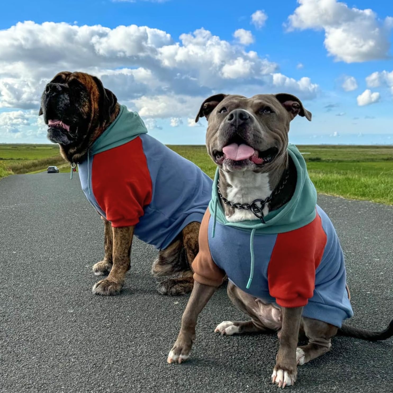 Spark Paws Hoodie, ajustement poitrine large pour races courantes.