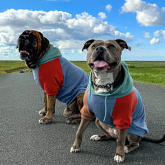 Spark Paws Hoodie, ajustement poitrine large pour races courantes.