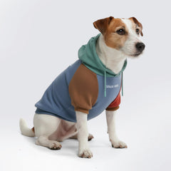Spark Paws Hoodie pour chien Alpine, vue avant, confort et style pour les sorties quotidiennes.