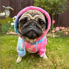 Spark Paws Hoodie chien intérieur en fleece apaisant pour un sentiment rassurant.