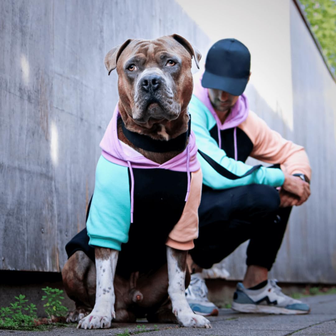 Spark Paws Hoodie Chien — matériau extensible pour liberté de mouvement.