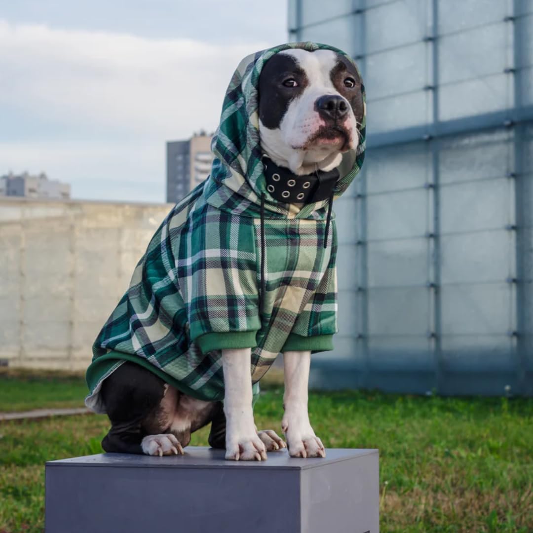 Spark Paws hoodie-chien ouvre discrètement l'attache pour harnais pratique.