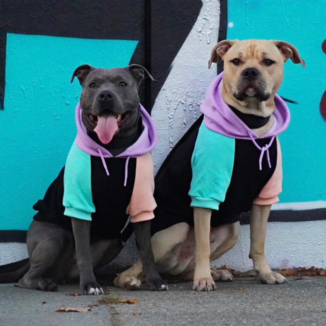 Spark Paws Hoodie Chien — ouverture pour harnais discrète et pratique.