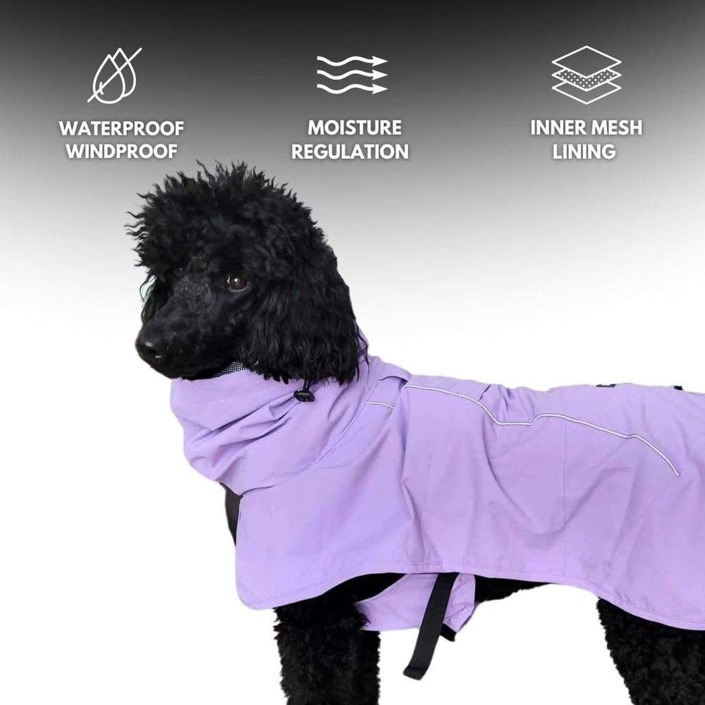 Spark Paws imperméable chien : bandes réfléchissantes pour sécurité nocturne.