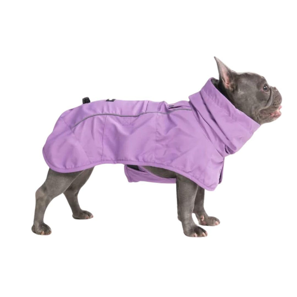 Spark Paws imperméable chien ensemble : protection intégrale contre pluie et vent.