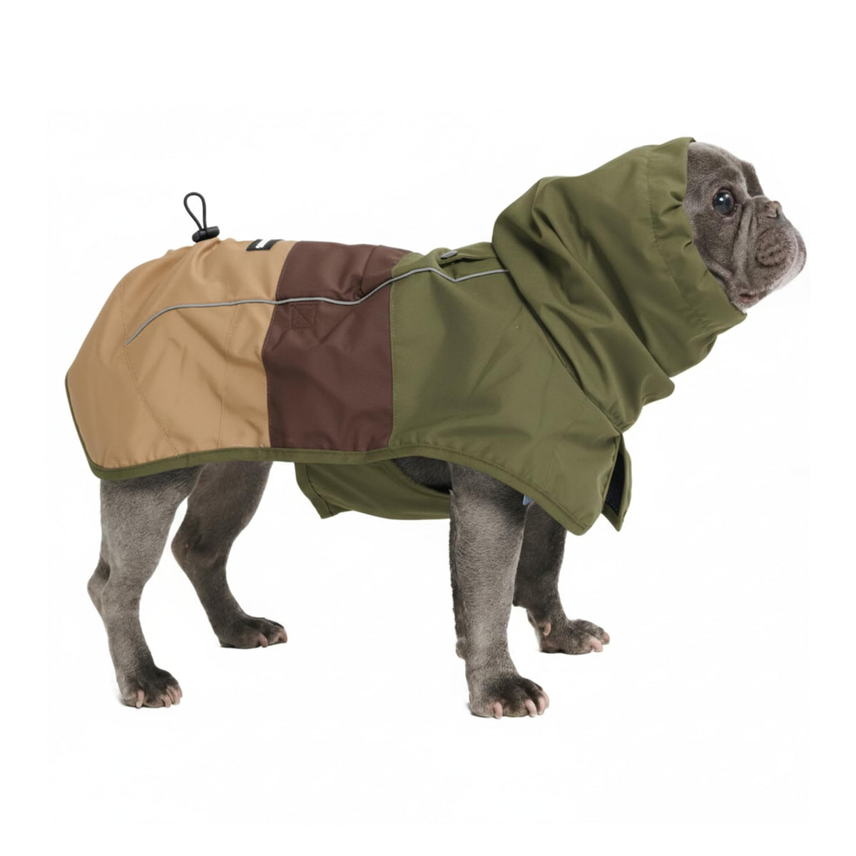 Spark Paws manteau imperméable pour chien, couverture complète et protection contre la pluie.