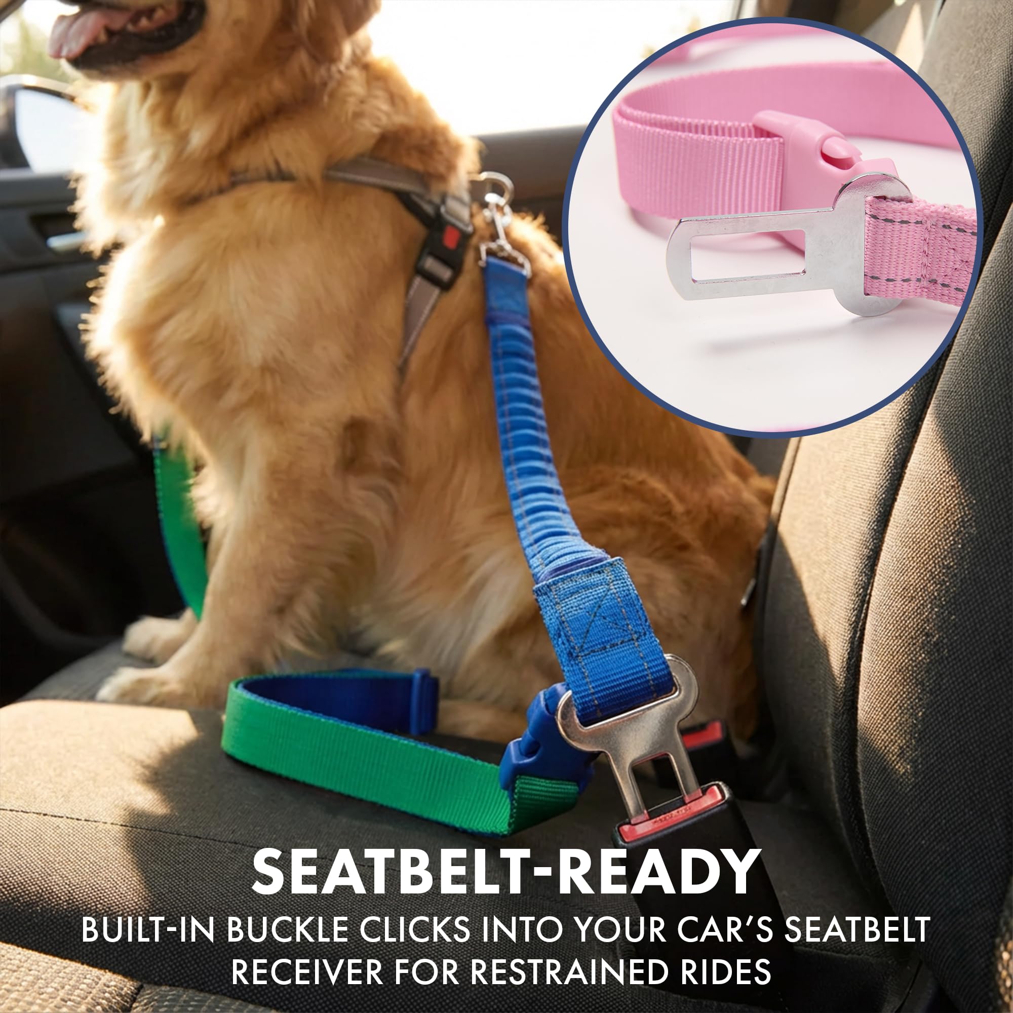 Spark Paws – Laisse robuste en nylon renforcé pour chiens forts et entraînements.