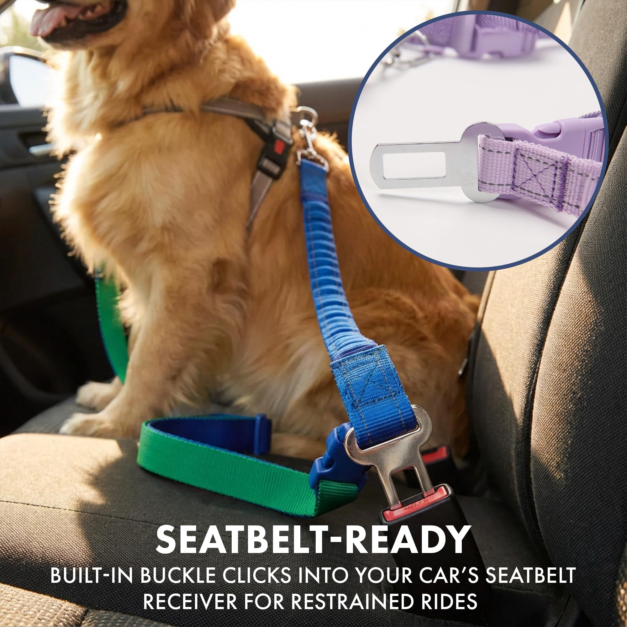 Spark Paws laisse tactique renforcée adaptée aux chiens puissants.