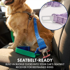 Spark Paws laisse tactique renforcée adaptée aux chiens puissants.