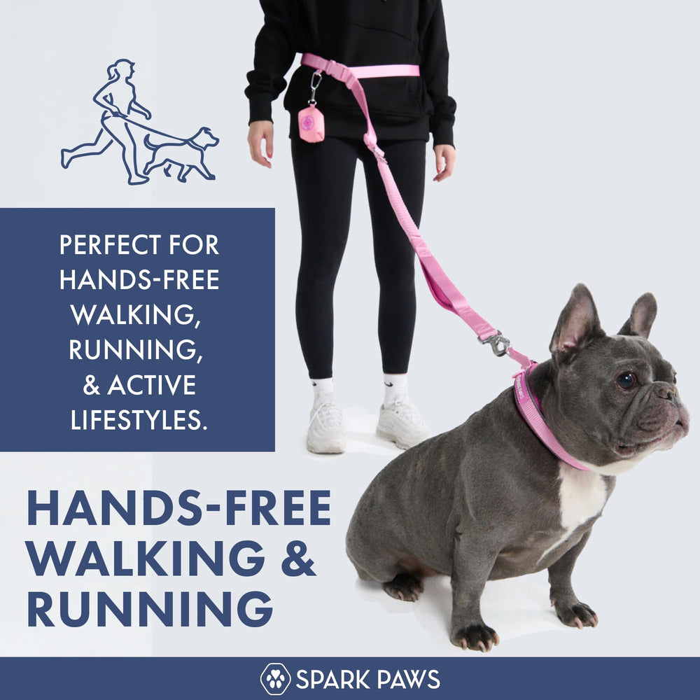 Spark Paws – Laisse amortissante avec bungee pour réduire les tirages lors des balades.