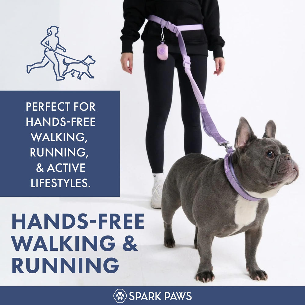 Spark Paws laisse avec bungee anti-choc absorbe les tirages en douceur.