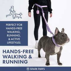 Spark Paws laisse avec bungee anti-choc absorbe les tirages en douceur.