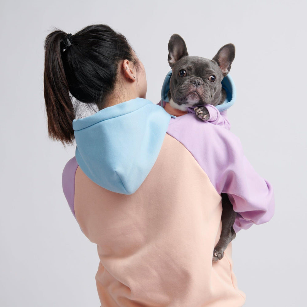 Spark Paws Hoodie poitrine large — coupe adaptée pour races robustes.