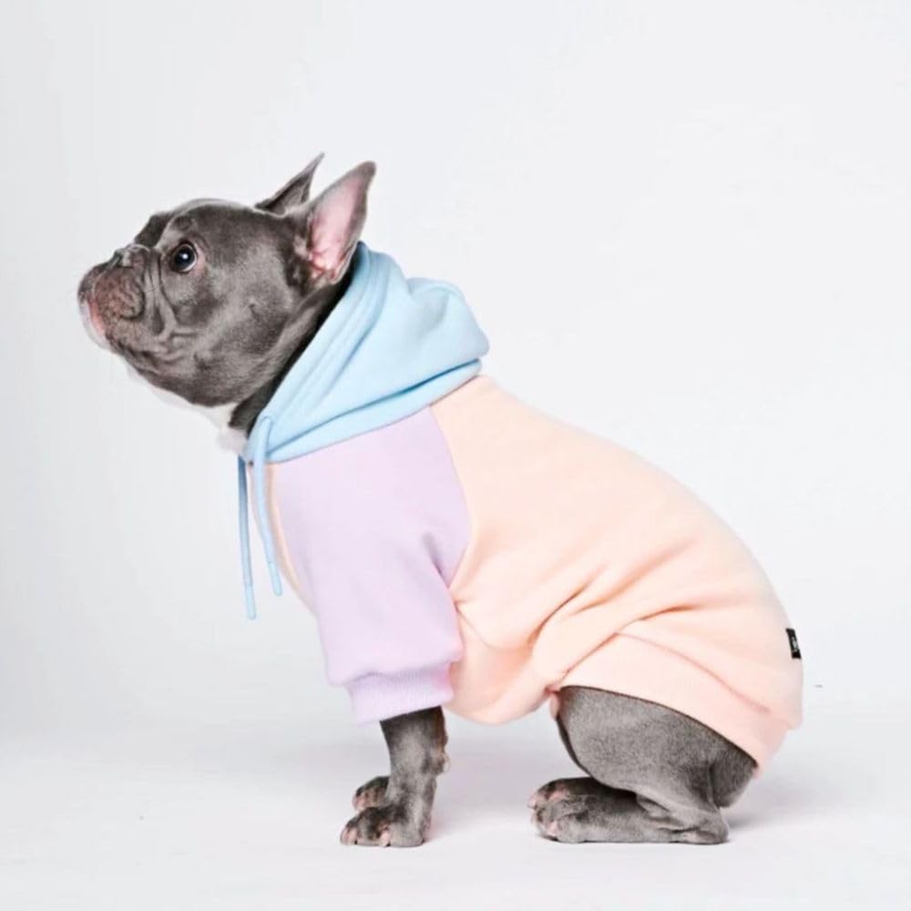 Spark Paws Hoodie visage chien — confort doux et liberté de mouvement.