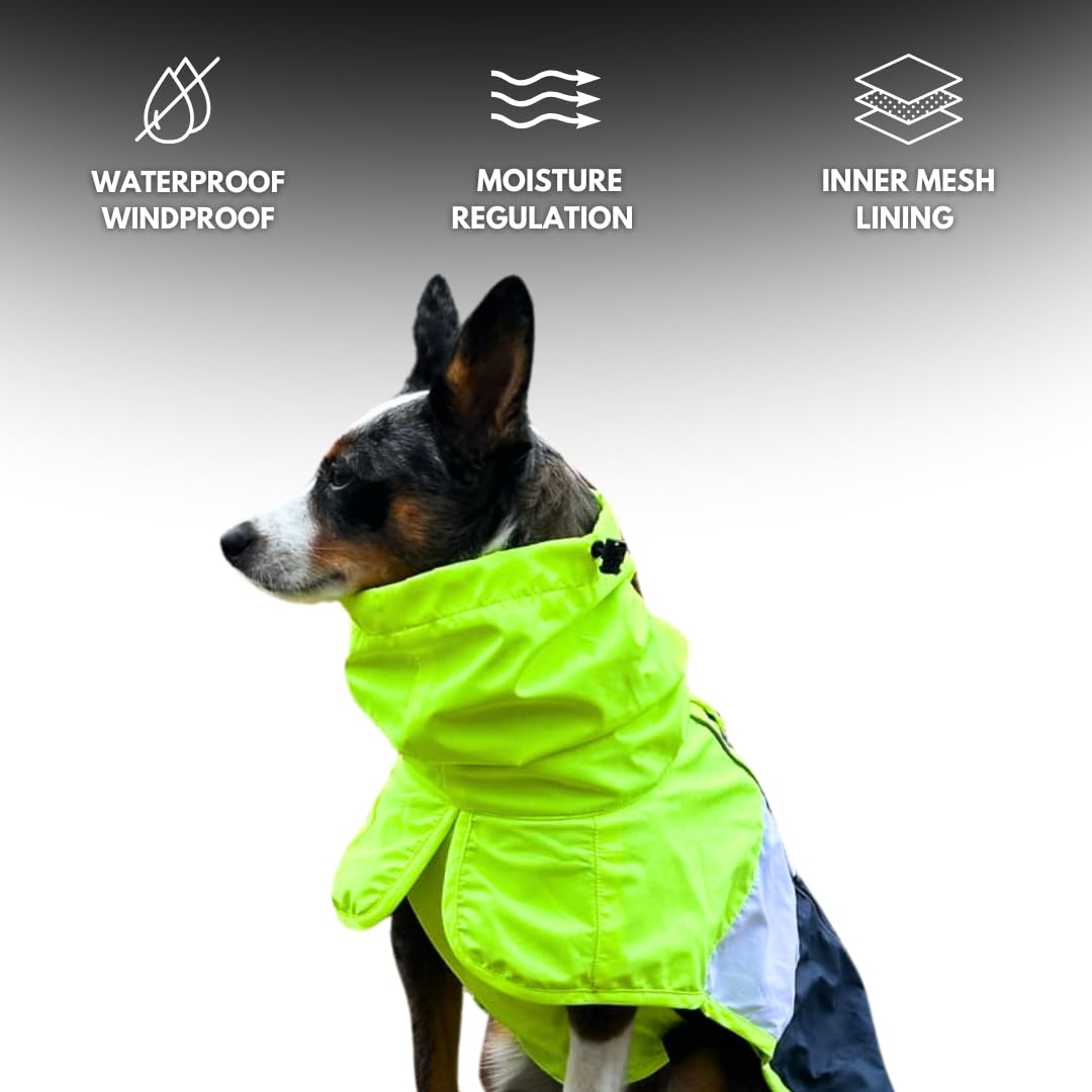 Manteau Spark Paws pour chien, tissu maille respirante et confort.