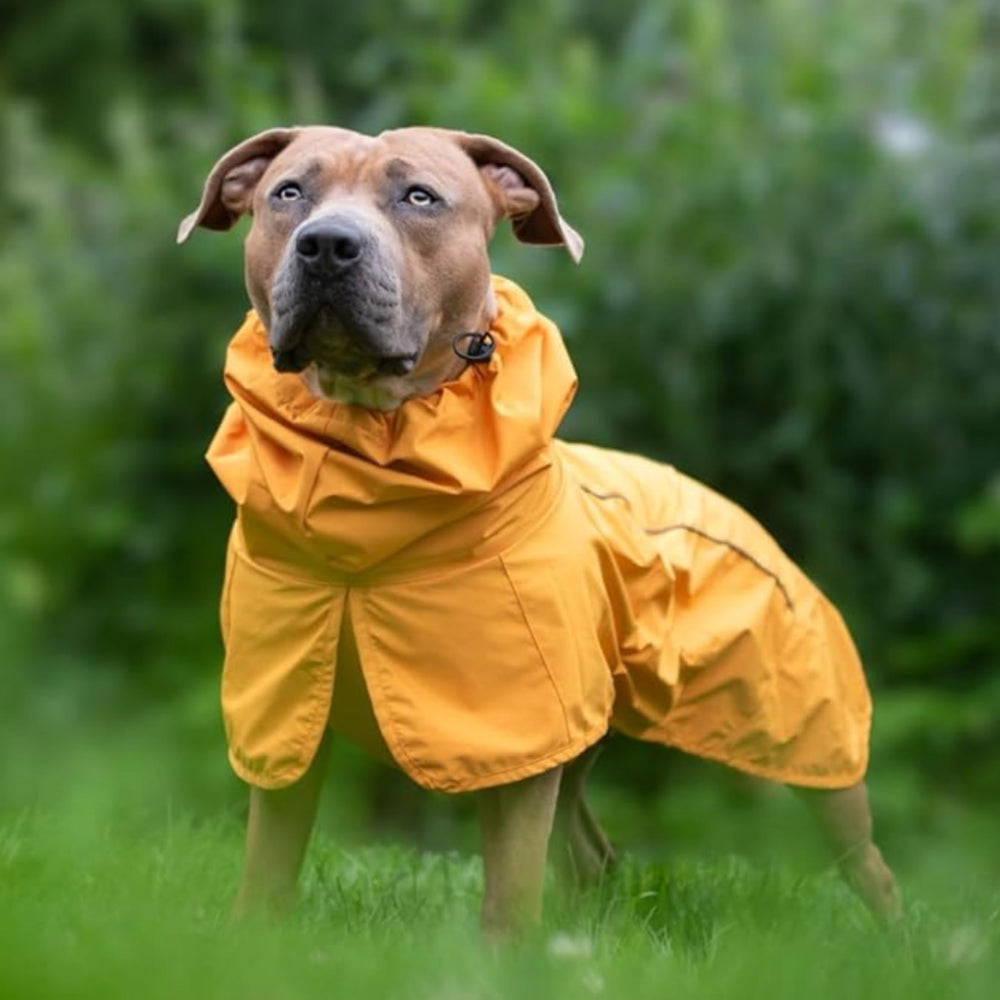 Spark Paws ouverture arrière pratique pour les pauses toilettes.