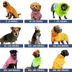Spark Paws manteau chien réfléchissant pour sécurité nocturne.