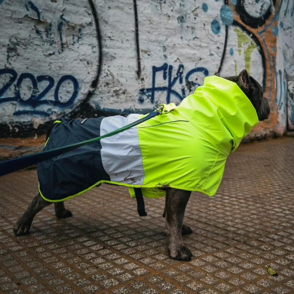 Manteau Spark Paws pour chien, toggle jambes arrières pour pauses faciles.