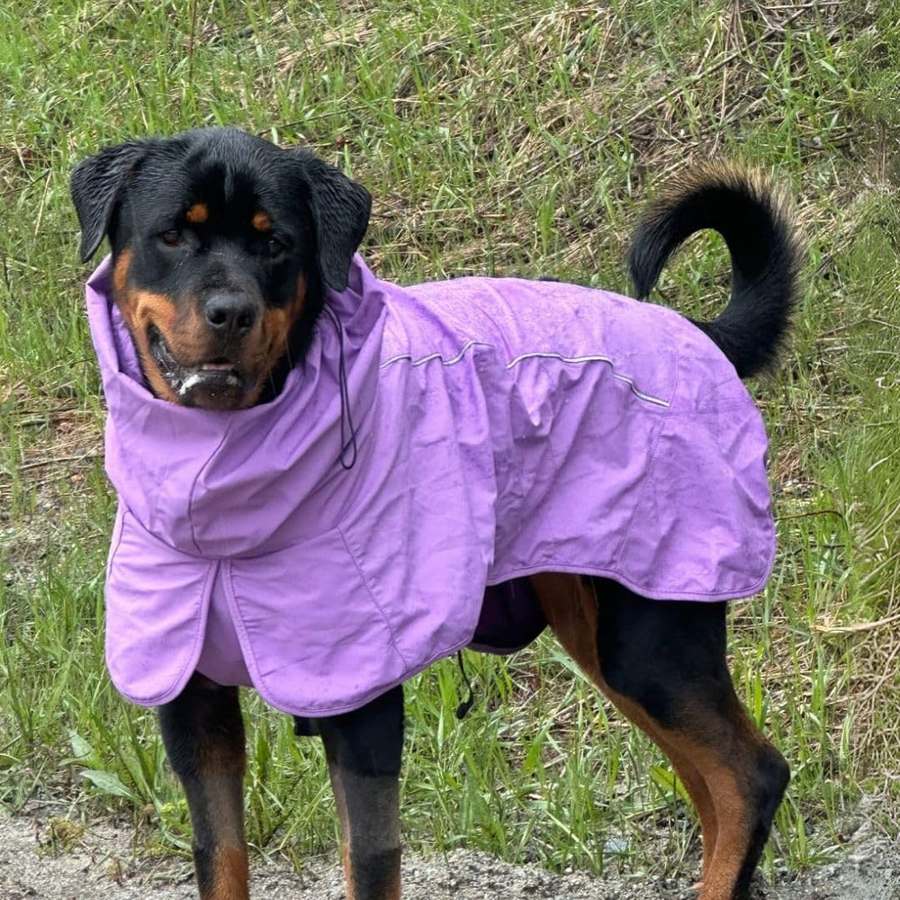 Spark Paws manteau chien toggle pattes arrières ajustable pour pauses toilettes faciles
