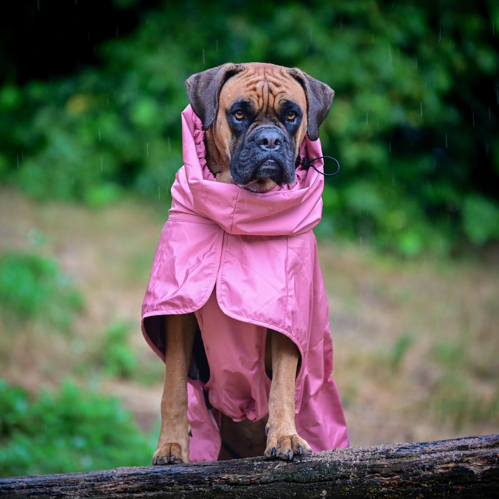 Spark Paws manteau pluie boucle pattes arrières pour toilettes faciles