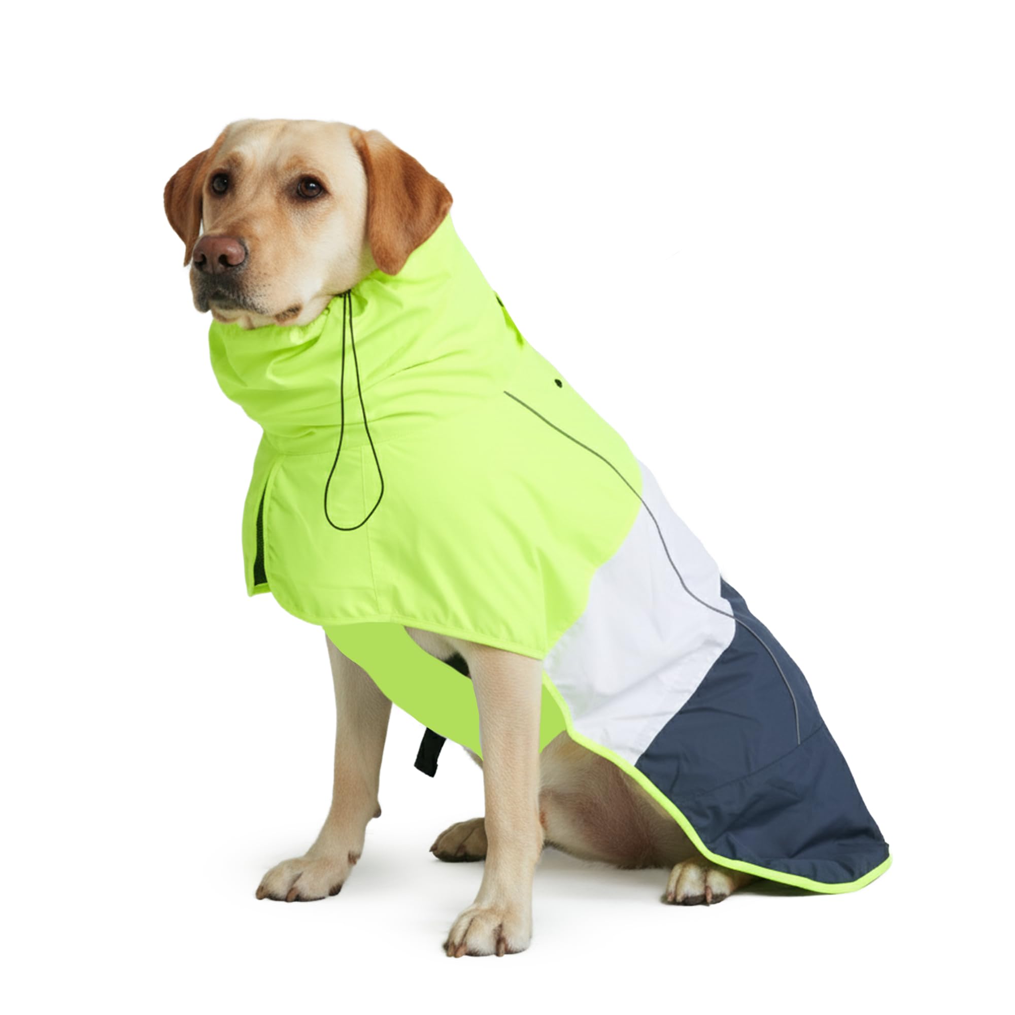 Manteau Spark Paws pour chien, protection imperméable contre pluie et vent.
