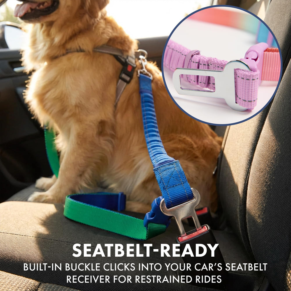 Spark Paws nylon ultra-dur renforcé pour chiens forts et usages intensifs