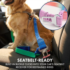 Spark Paws nylon ultra-dur renforcé pour chiens forts et usages intensifs