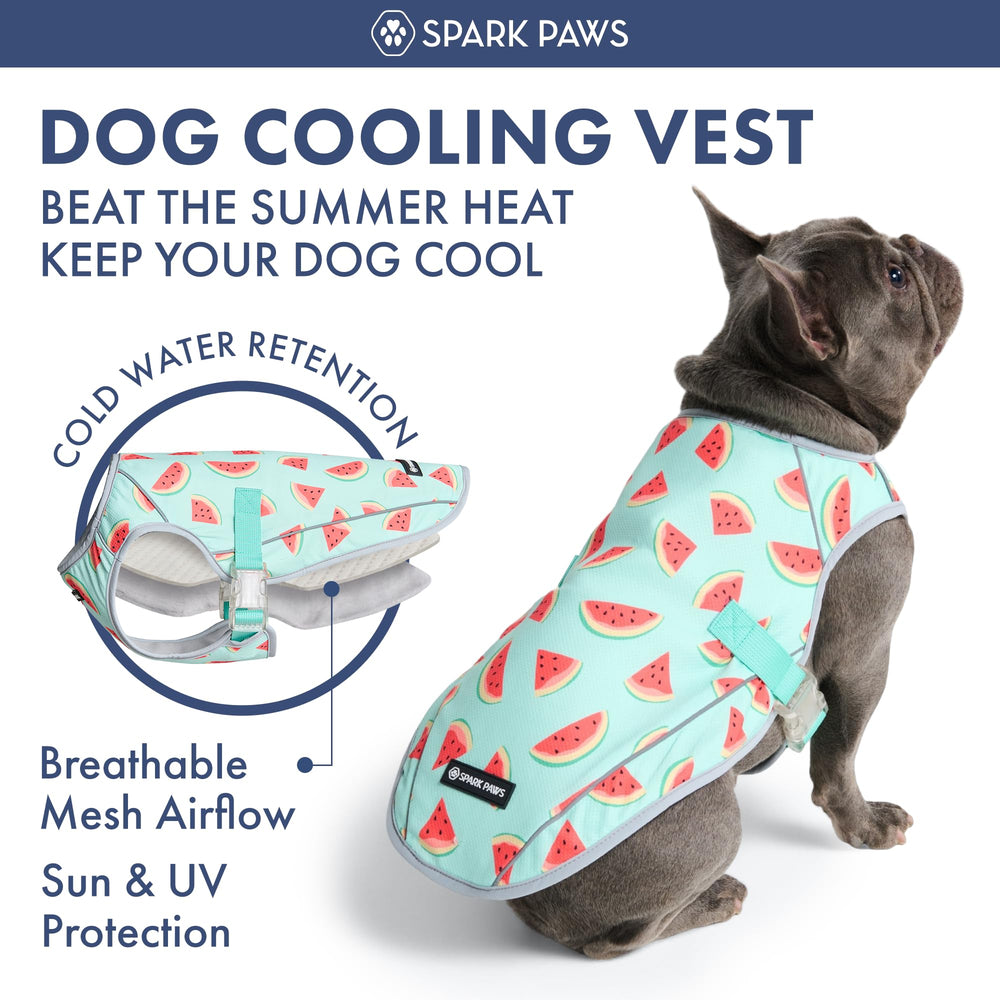 Promenade en plein air avec le gilet Spark Paws pour chien.