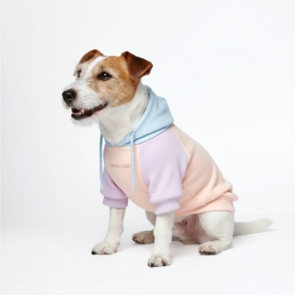 Spark Paws pull-chien Barbe à Papa, vue frontale, confort polyvalent pour toutes tailles.
