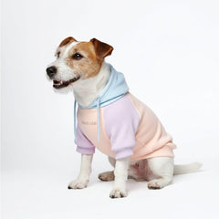 Spark Paws pull-chien Barbe à Papa, vue frontale, confort polyvalent pour toutes tailles.