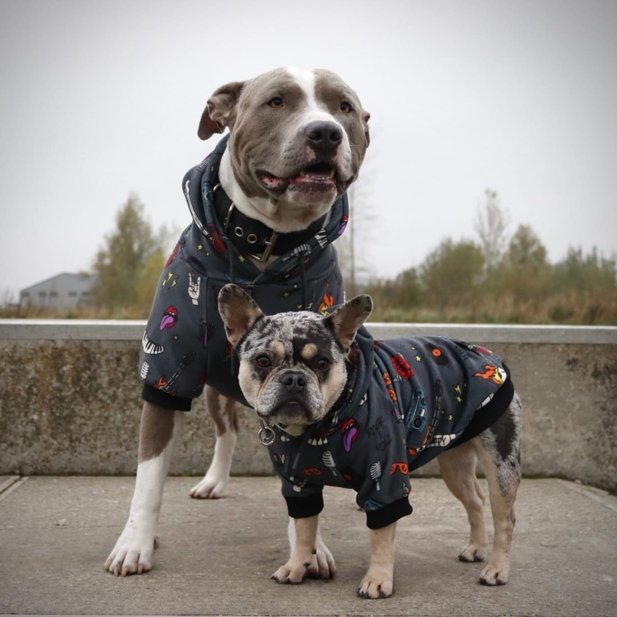 Spark Paws pull-chien ouverture harnais discrète pratique.