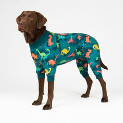 Spark Paws pyjama chien dinosaure 3XL, confort durable pour récupération nocturne