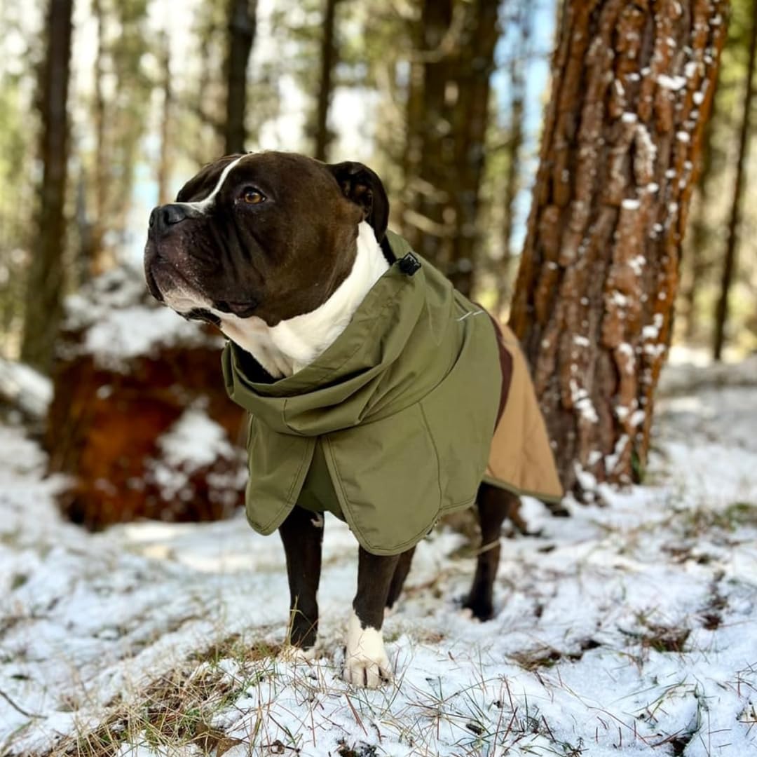 Spark Paws réglage arrière pour pauses toilettes faciles et liberté de mouvement.