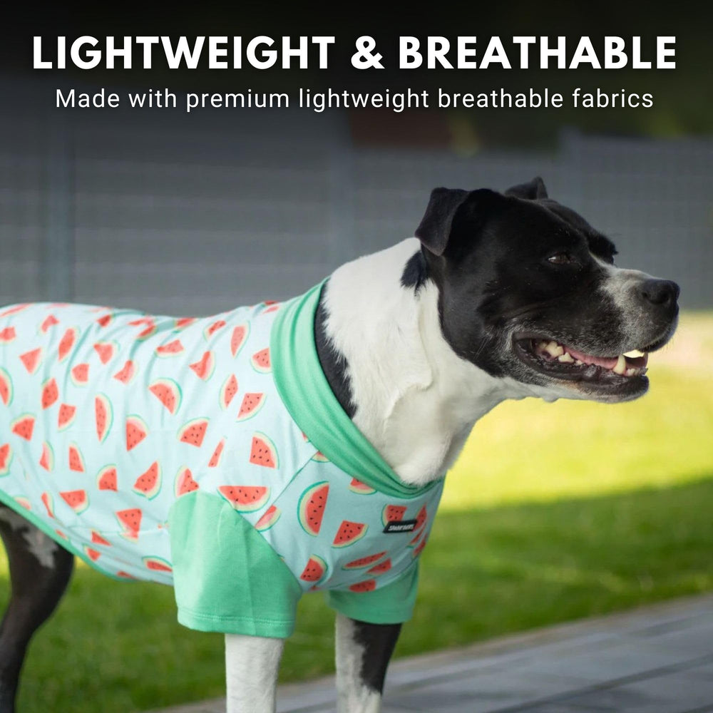 Séchage rapide et lavage facile, t-shirt Spark Paws réutilisable.