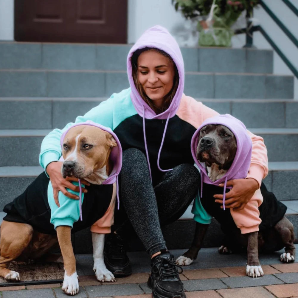 Spark Paws Sweat à capuche Homme – capuchon réglable, chaleur ajustable en sortie par temps frais.
