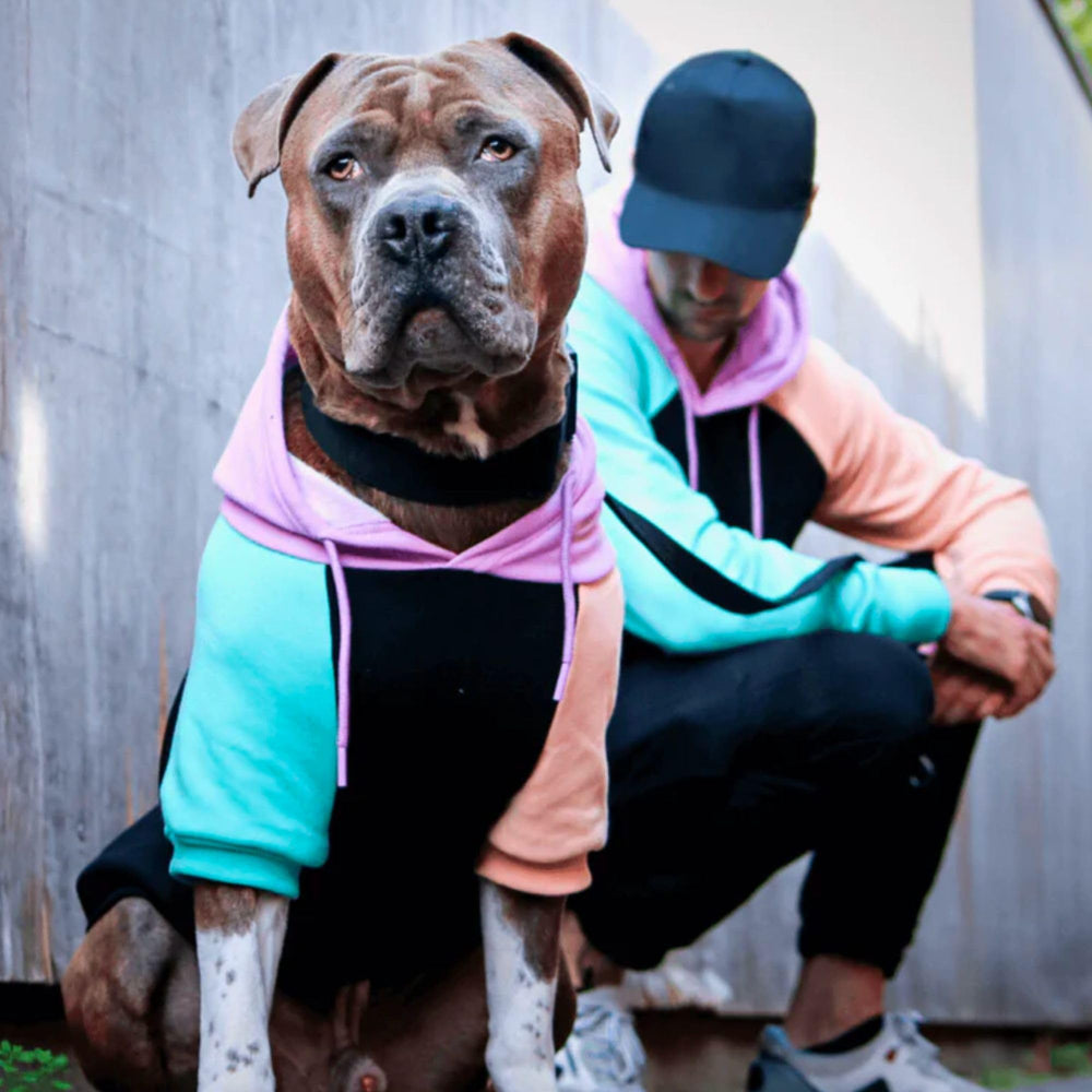 Spark Paws Sweat à capuche Homme – finition à côtes, style casual et tenue stable.