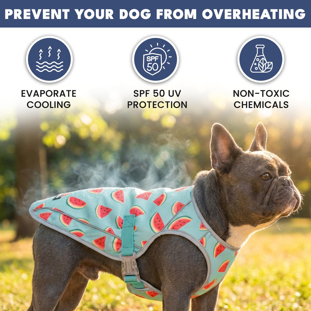 Technologie Chilltech du gilet Spark Paws offrant un refroidissement durable.