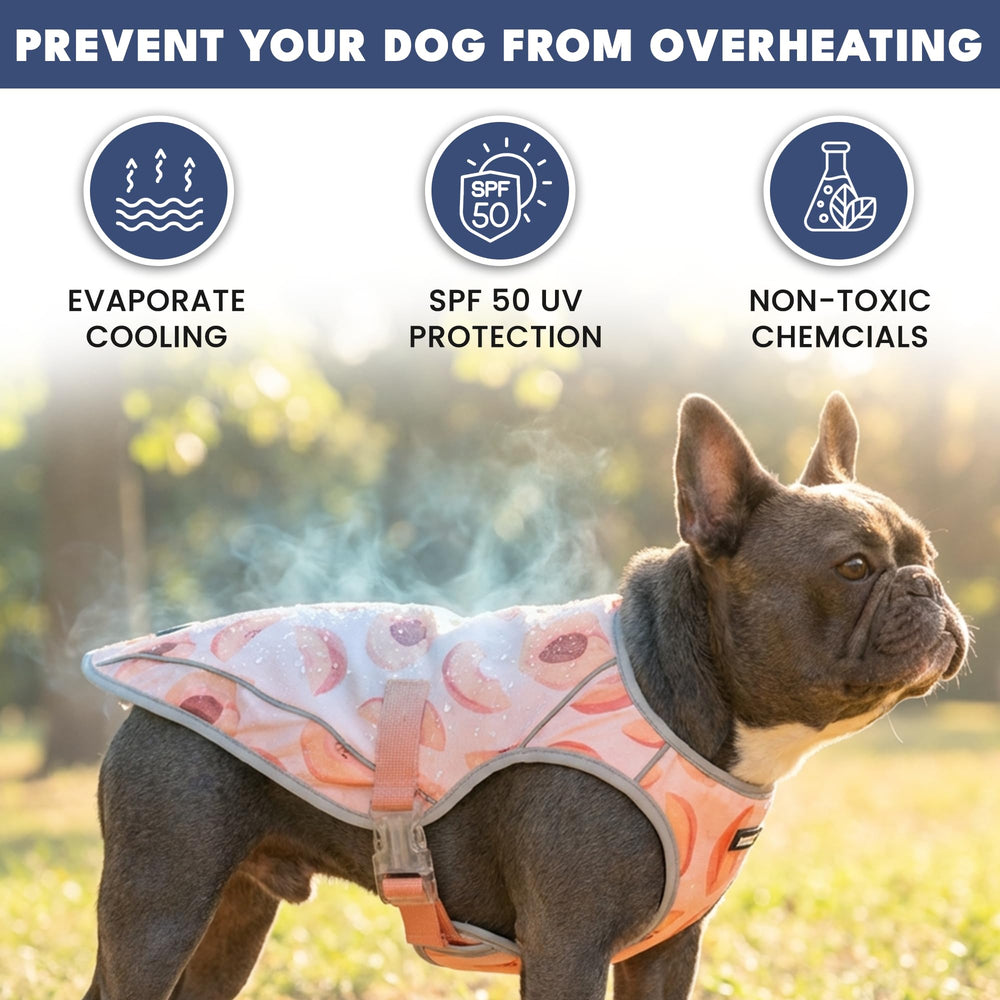 Tissu évaporatif Spark Paws absorbant pour rafraîchissement durable.