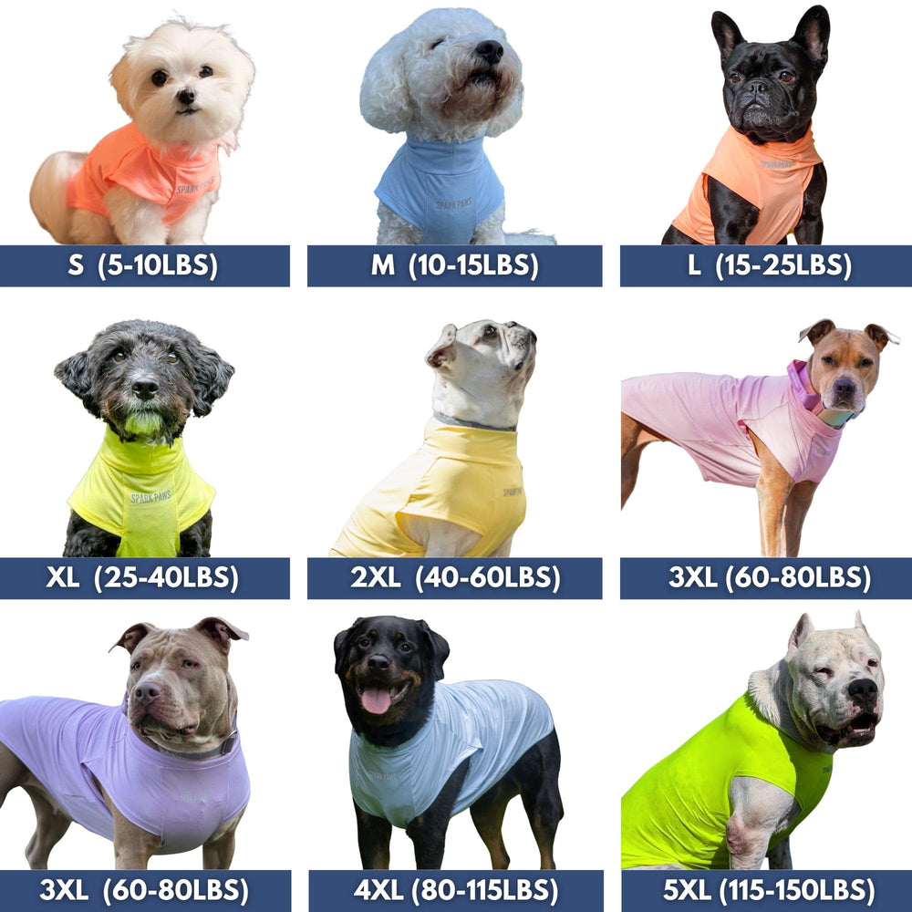 T-shirt léger et respirant Spark Paws pour chiens actifs en été.