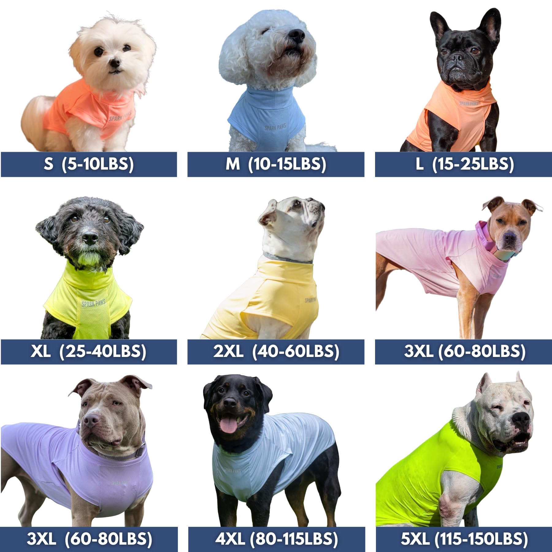 Spark Paws t-shirt chien vue arrière, coupe ajustée et confort.