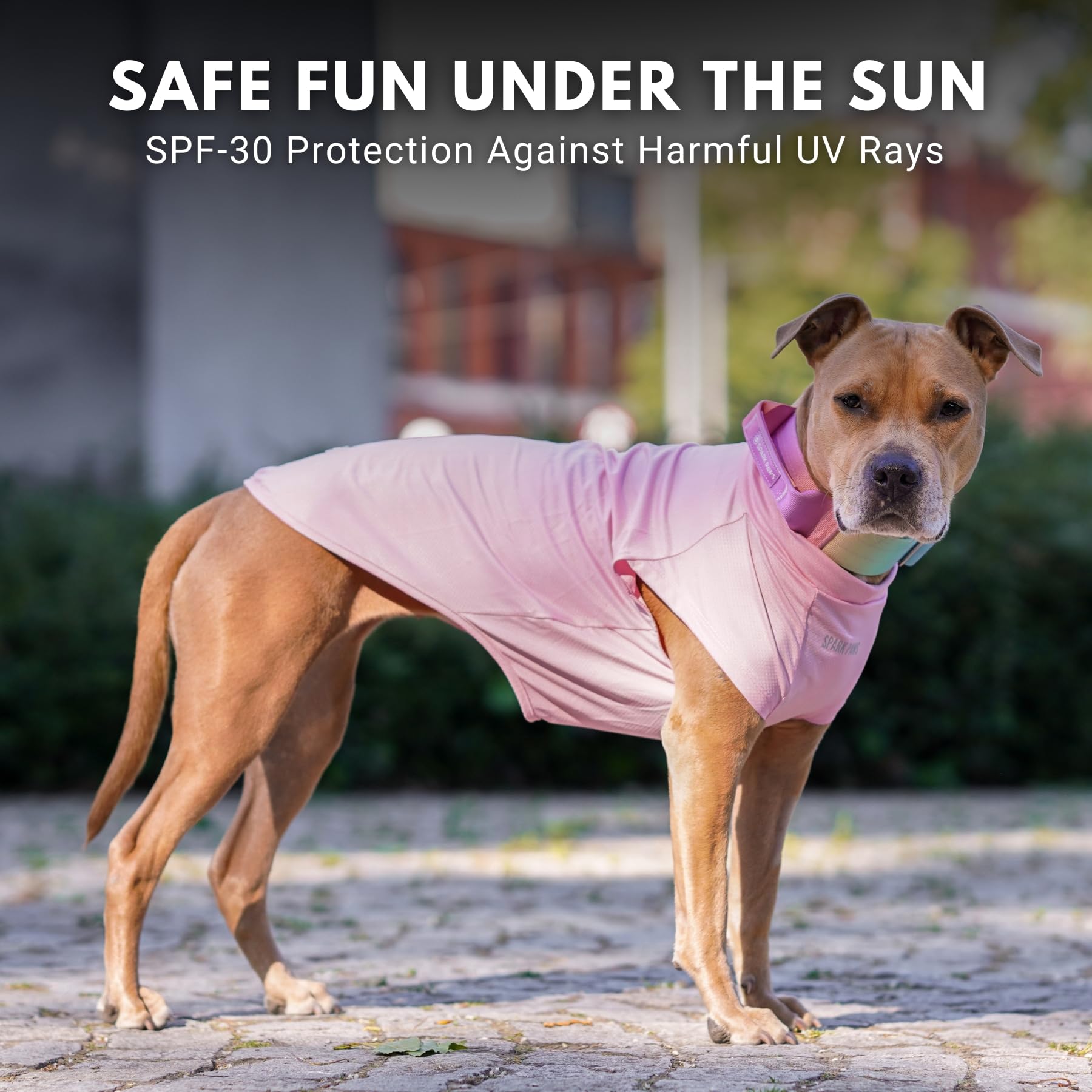 Spark Paws t-shirt chien détail imprimé SPF30 visible, protection légère.
