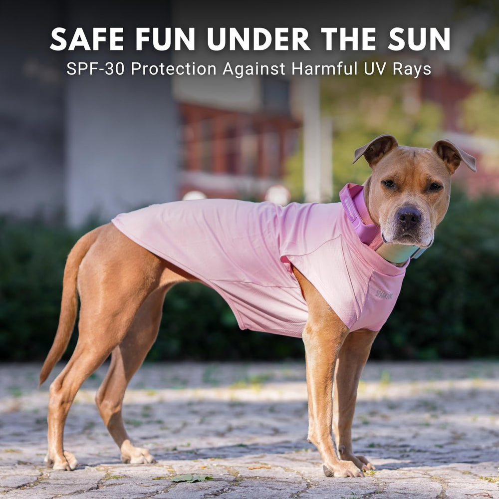 Spark Paws t-shirt chien détail imprimé SPF30 visible, protection légère.
