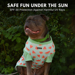 Spark Paws t-shirt chien ajustement confortable et durable